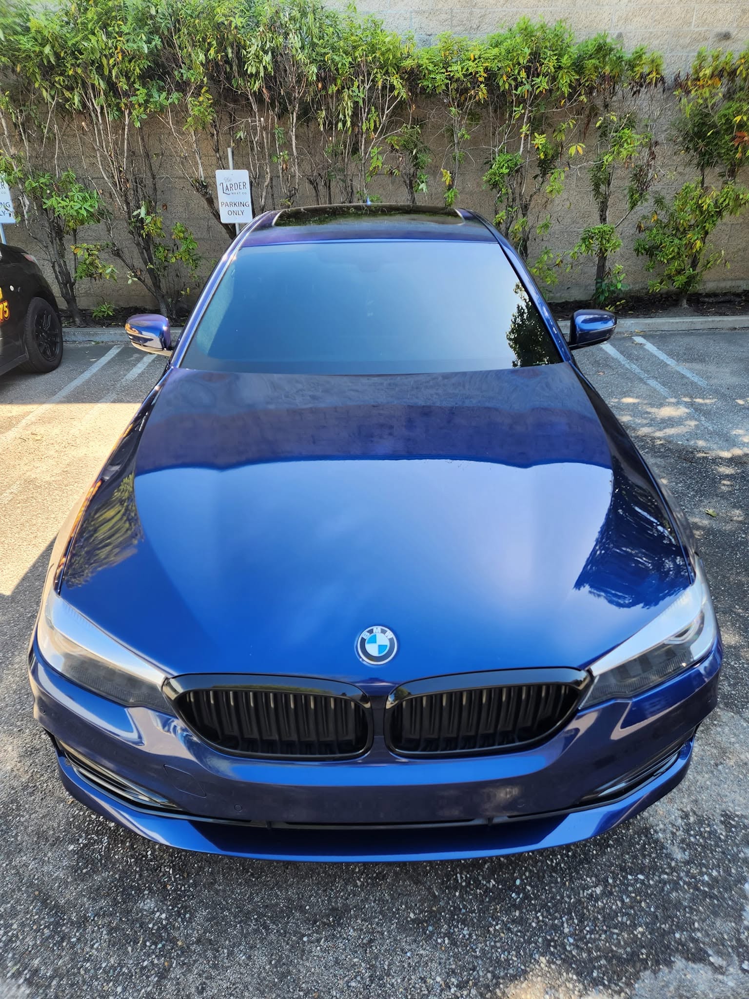 Blue BMW sedan with a polished front end after a paint enhancement detail