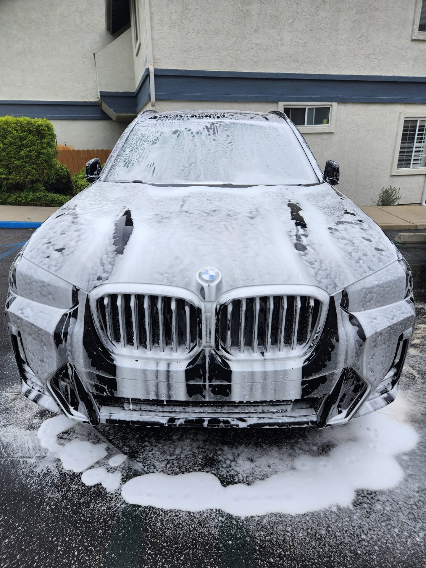 BMW X3 — Decontamination Wash & Gloss Restoration — before detailing